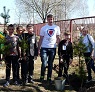 Аллея МИРа и в Костроме