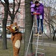 Пернатая Акция