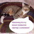 Мастер-класс
