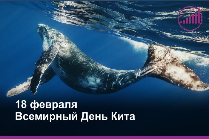 Всемирный день китов