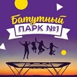 БАТУТНЫЙ ПАРК №1
