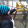Парад кормушек для птиц