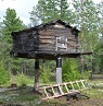 К предкам в Лукоморье