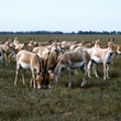 Успешный проект