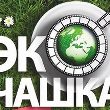 ЭкоЧашка