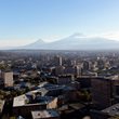 Золотой абрикос