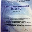 За организацию молодежного фестиваля